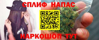 индика Заводоуковск
