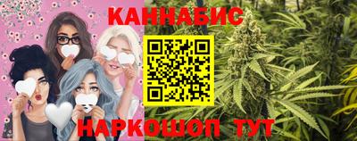 индика Заводоуковск