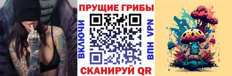 Галлюциногенные грибы GOLDEN TEACHER  Луга 