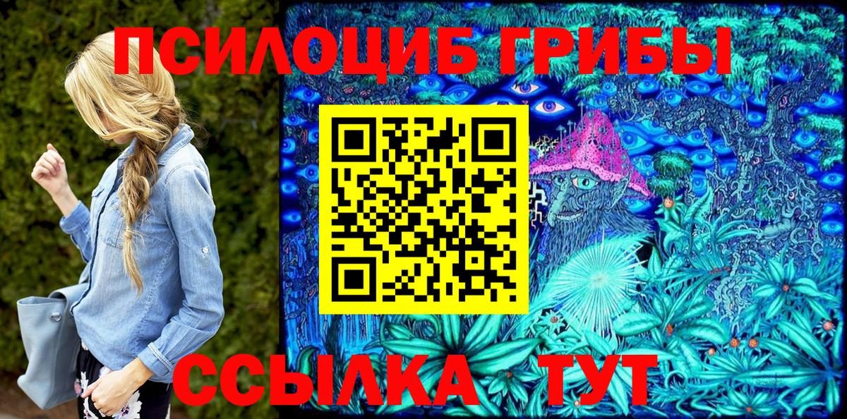 Псилоцибиновые грибы прущие грибы Луга
