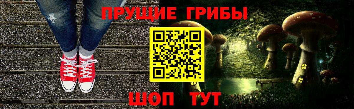 Луга  Псилоцибиновые грибы ЛСД  Вход с VPN 
